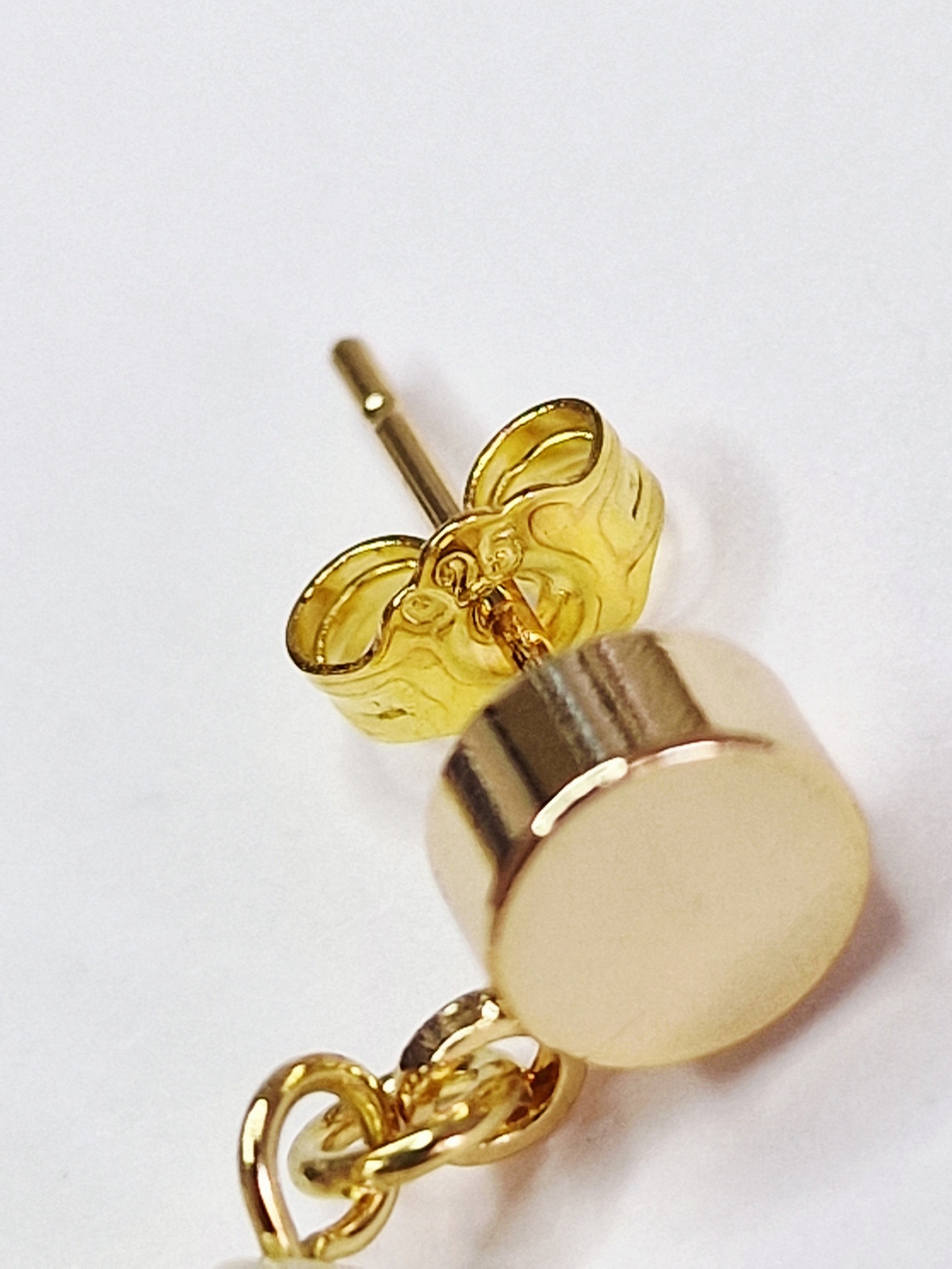 Boucles Clous Cygnes Aix-les-Bains – Image 3